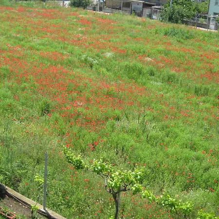 公寓式酒店 Chateau Aheloy 帕莫瑞