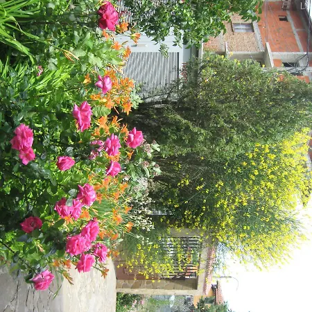 Chateau Aheloy 3* Gmina Pomorie