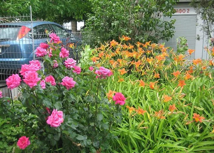 Chateau Aheloy Апарт-отель 3*