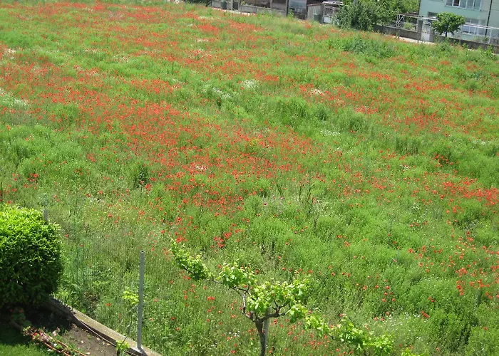 Апарт-отель Chateau Aheloy Поморие