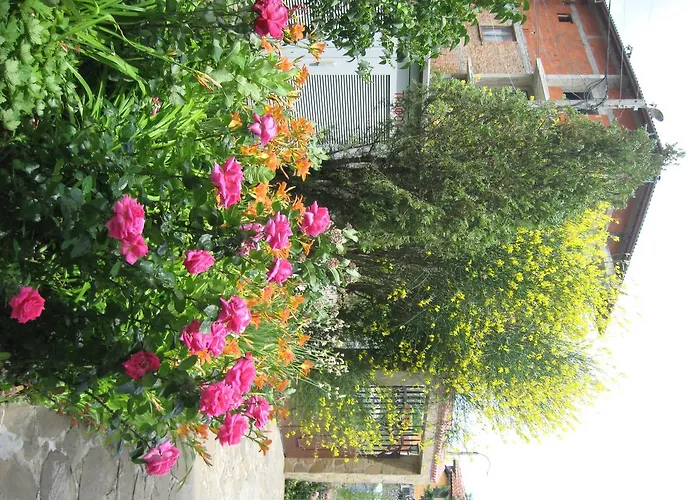 Chateau Aheloy 3* Поморие